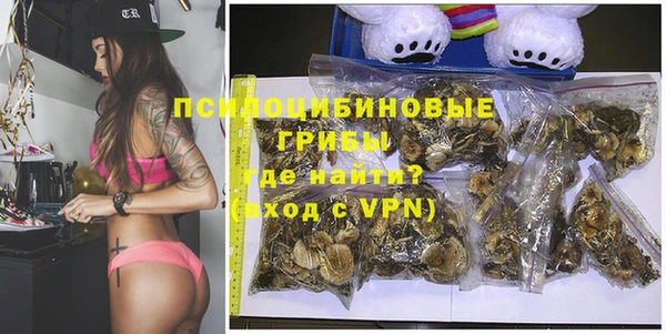 ALPHA PVP Куйбышев