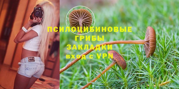 2c-b Кулебаки