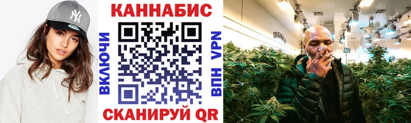 Купить закладки  Отрадная  МАРИХУАНА сатива 